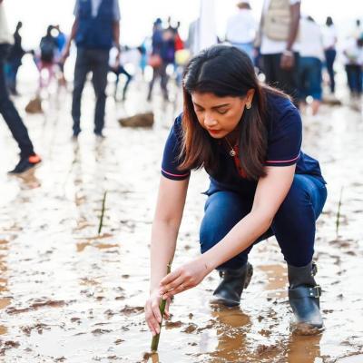 8 mars 2021 : Reboisement de mangroves, Antsiranana, Région DIANA