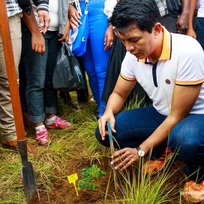 Campagne de reboisement 2020 : 60 millions d’arbres seront plantés dans tout le territoire malagasy